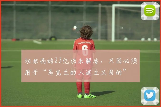 切尔西的23亿仍未解冻，只因必须用于“乌克兰的人道主义目的”