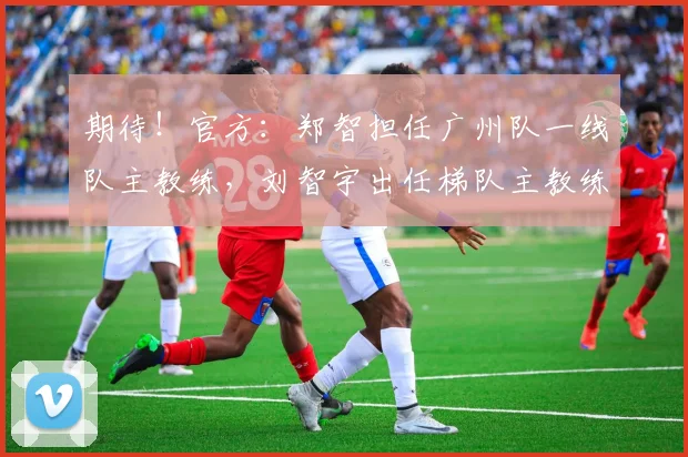 期待！官方：郑智担任广州队一线队主教练，刘智宇出任梯队主教练