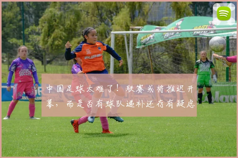 中国足球太难了！联赛或将推迟开幕，而是否有球队递补还存有疑虑