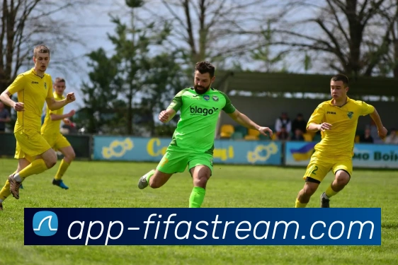 多媒体互动体验